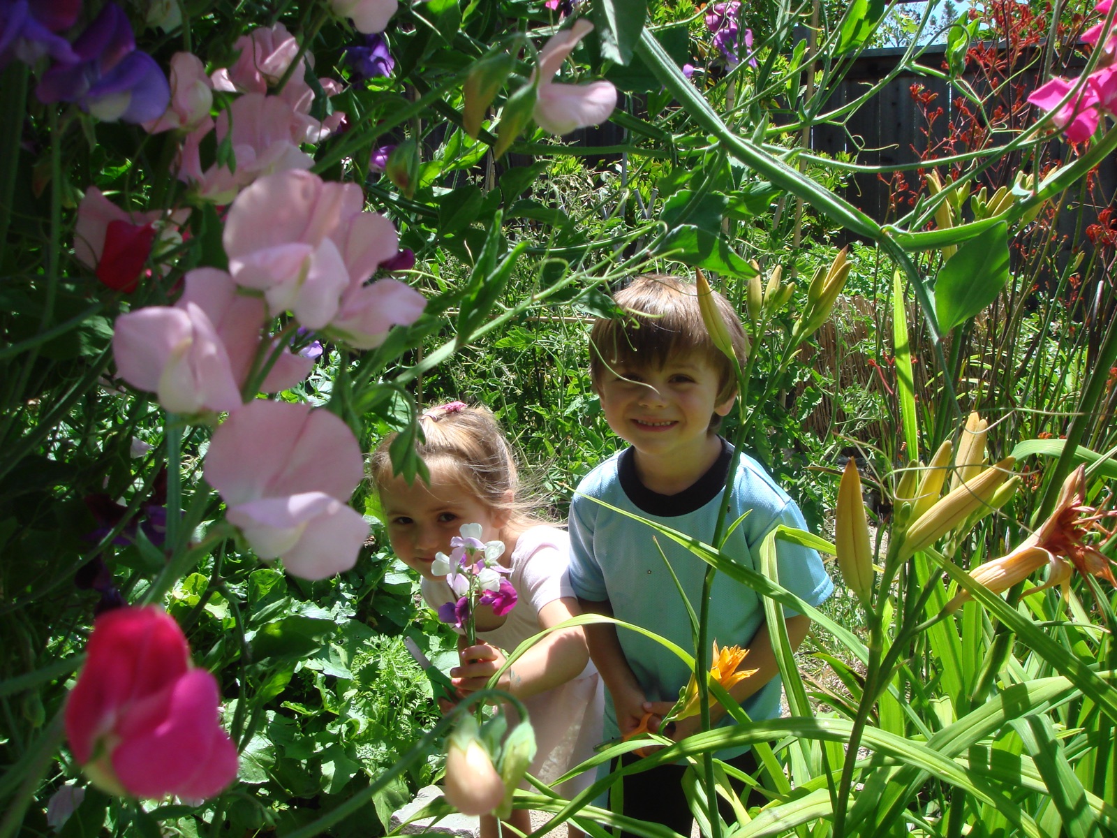 The founders' children among sweet peas and lilies in a Marin garden