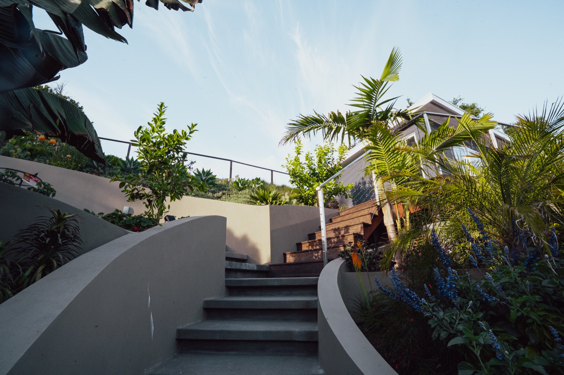 A terraced Monarch Gardens hillside in Marin