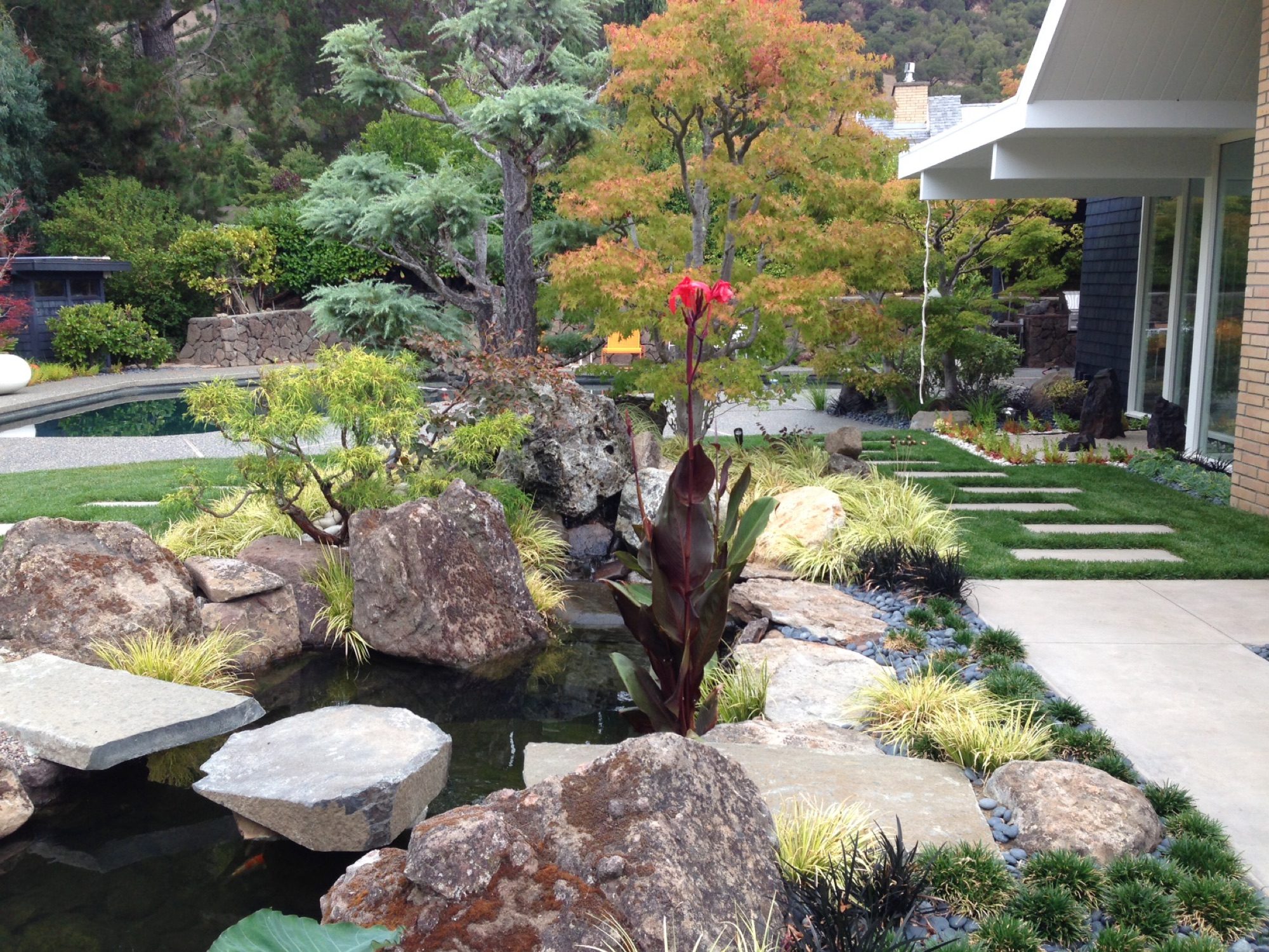 Pikes Peak garden in Marin County by Monarch Gardens, photo 9 of 18
