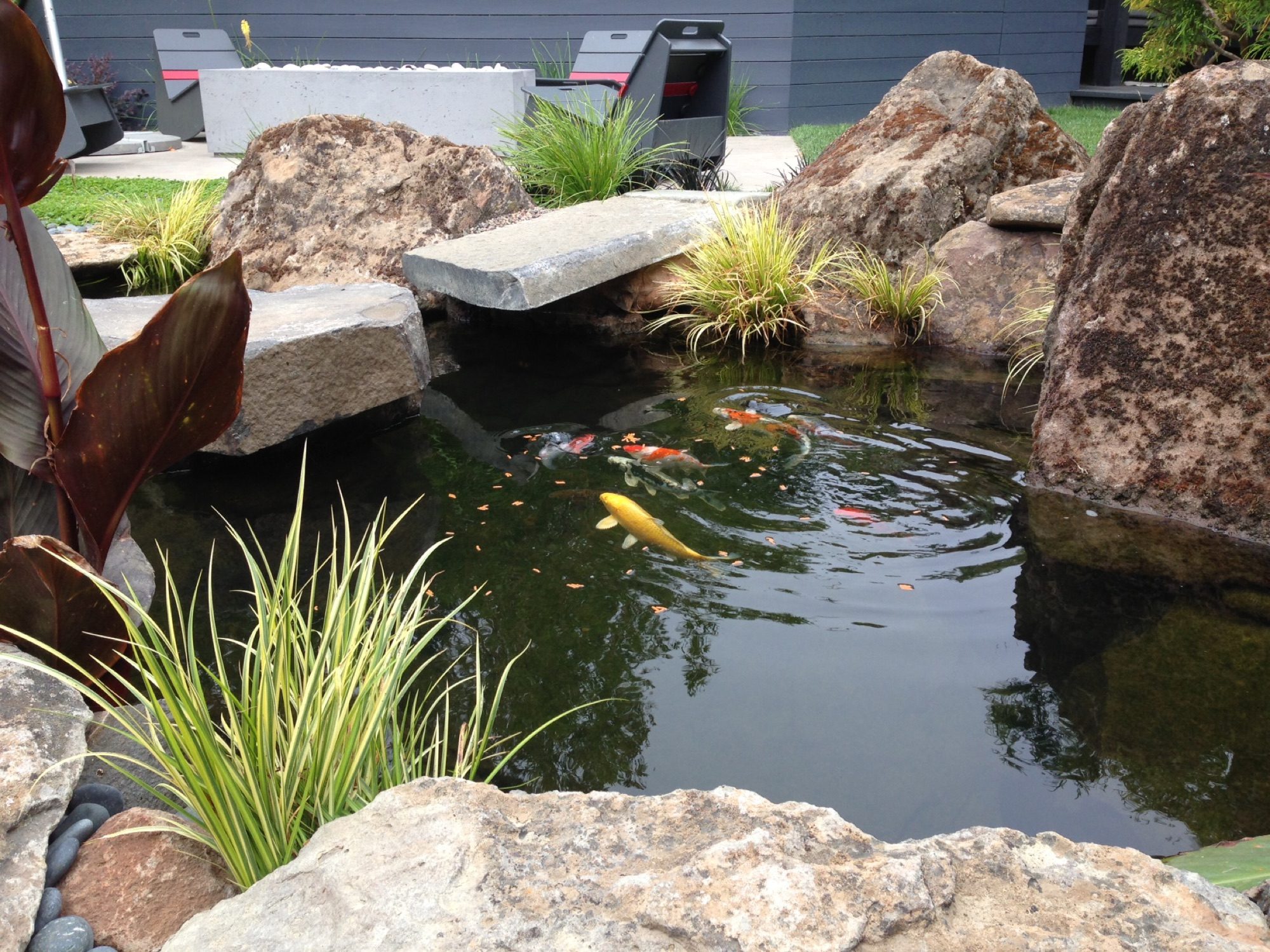 Pikes Peak garden in Marin County by Monarch Gardens, photo 11 of 18