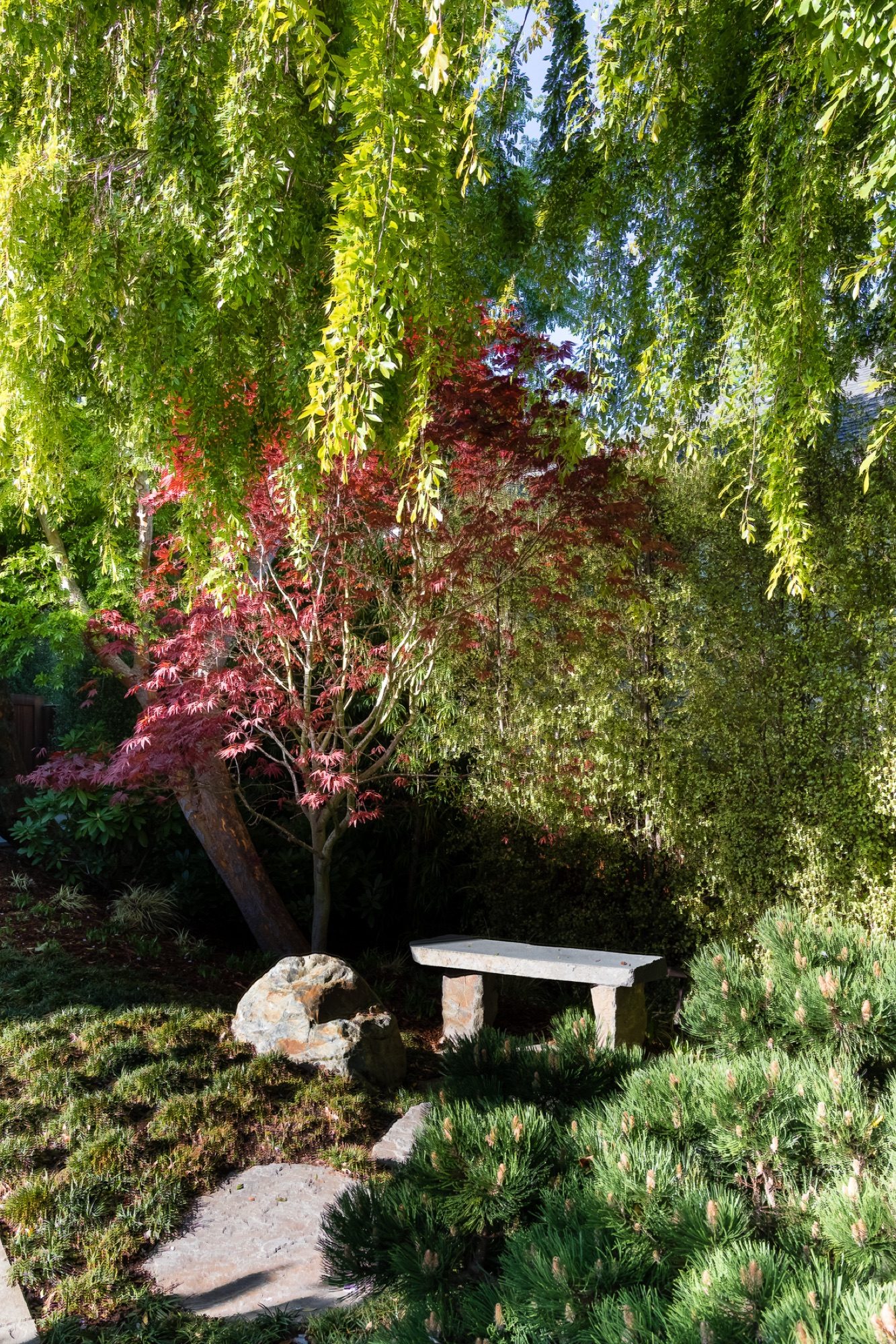 Reed Ranch garden in Tiburon by Monarch Gardens, photo 7 of 32