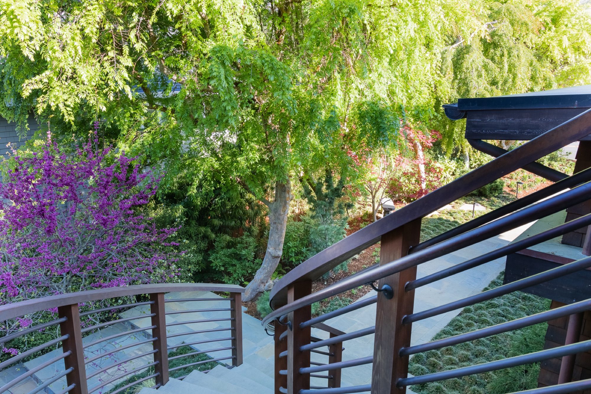 Reed Ranch garden in Tiburon by Monarch Gardens, photo 10 of 32