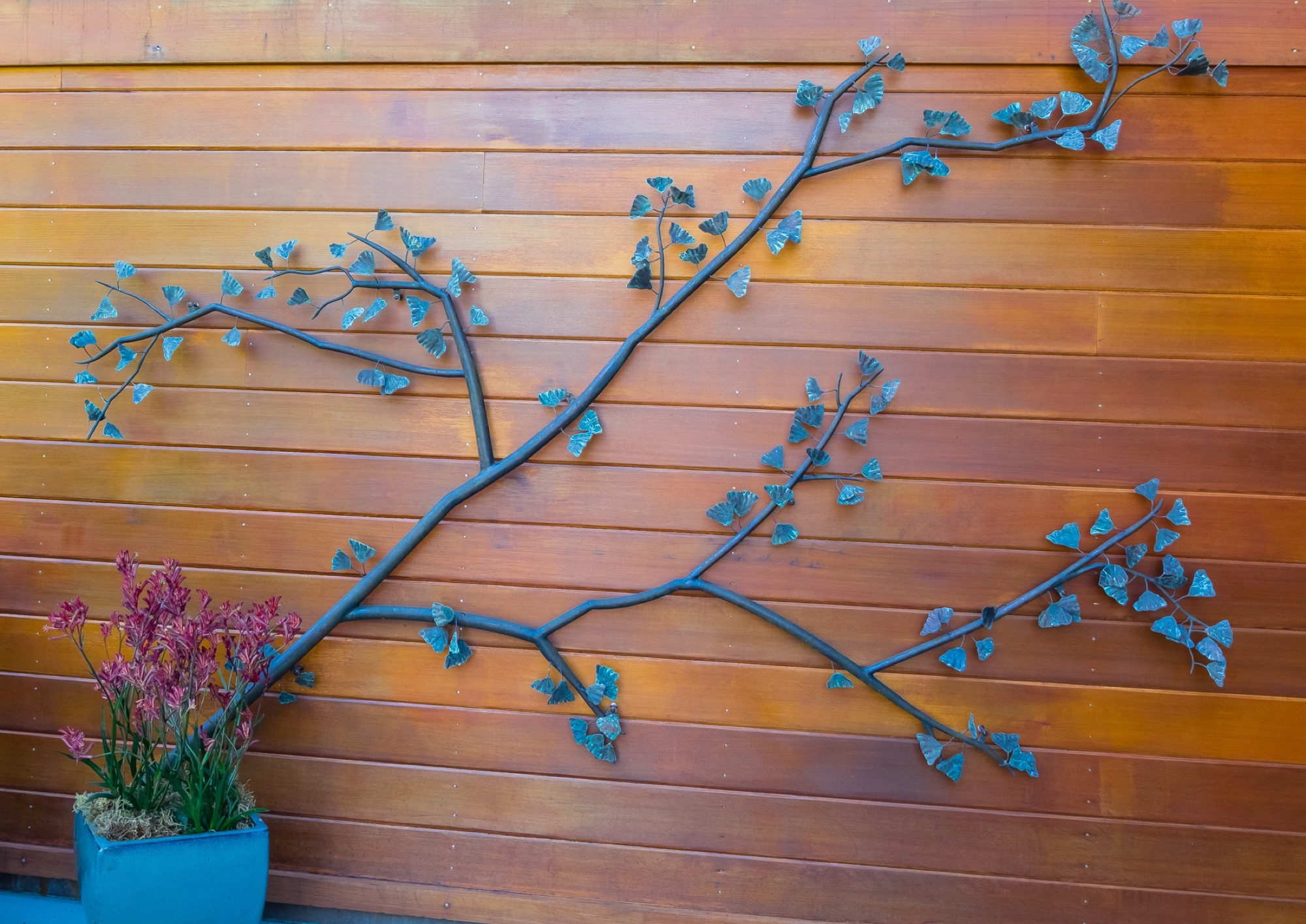 Reed Ranch garden in Tiburon by Monarch Gardens, photo 11 of 32