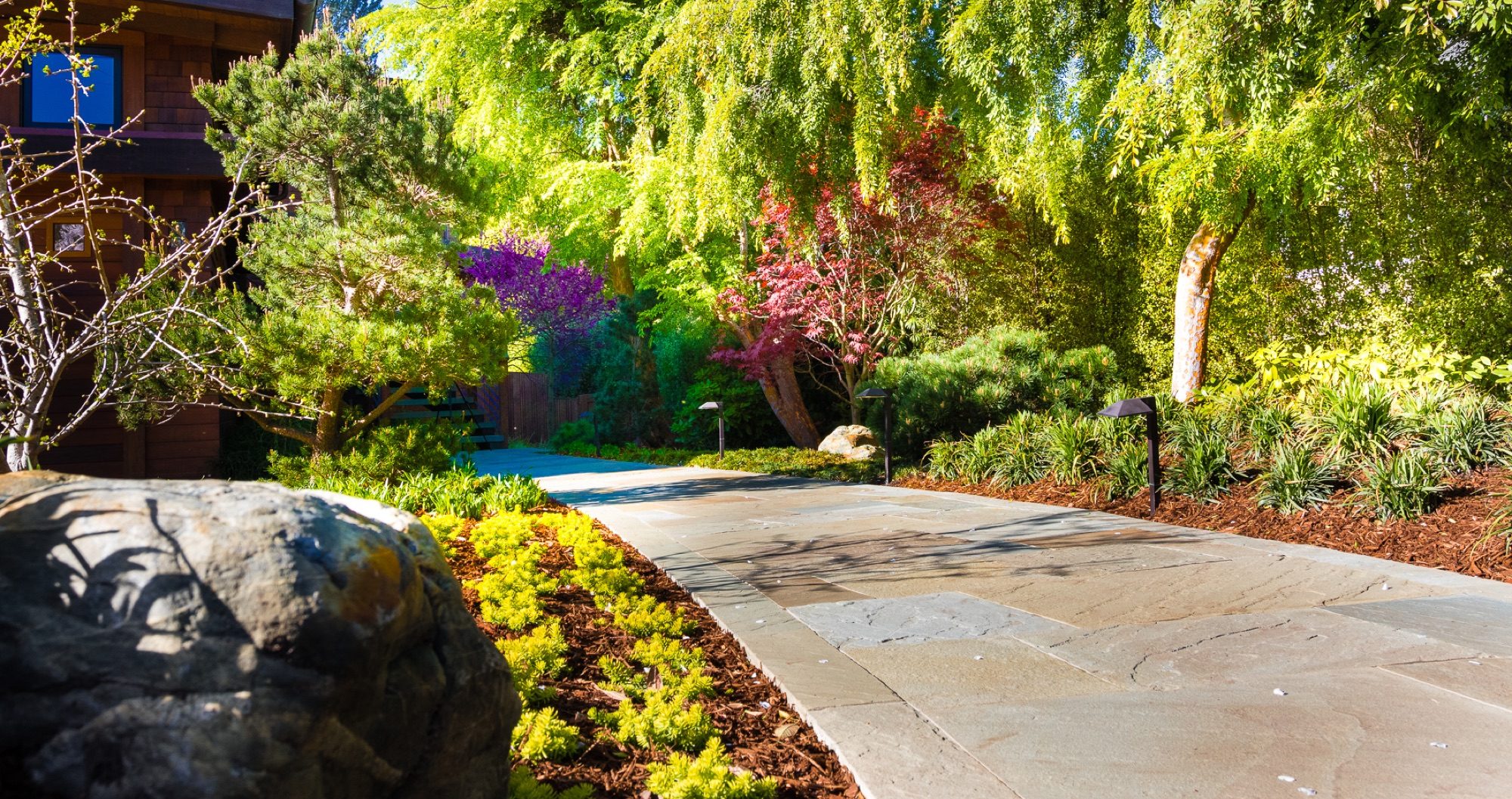 Reed Ranch garden in Tiburon by Monarch Gardens, photo 16 of 32