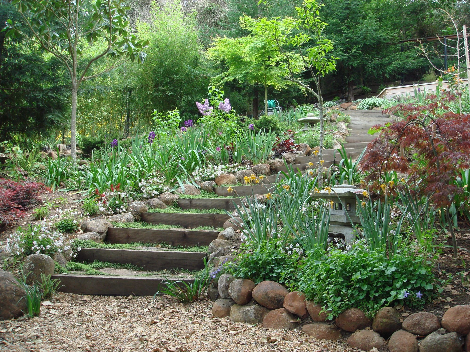 Reed Ranch garden in Tiburon by Monarch Gardens, photo 18 of 32