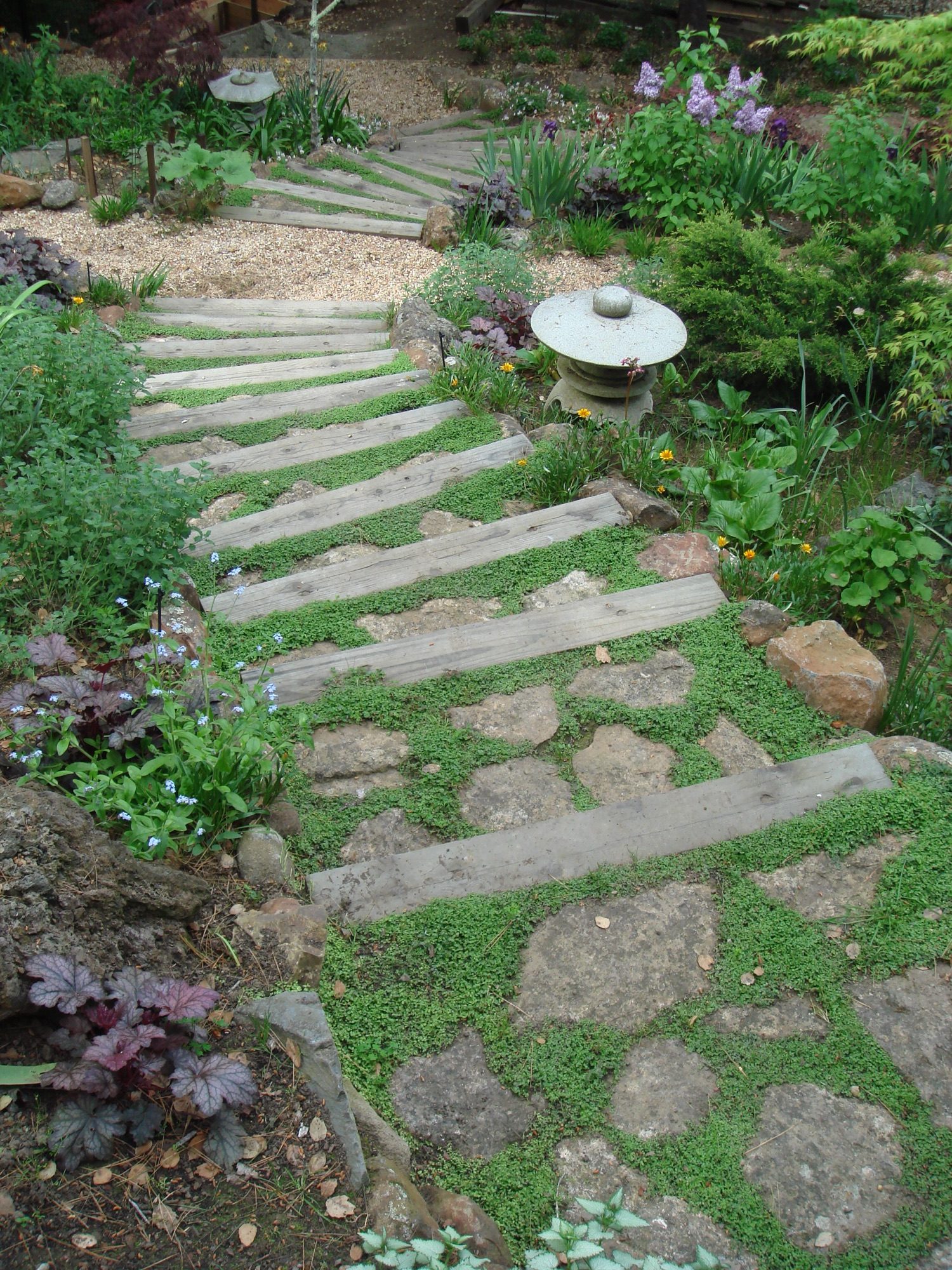 Reed Ranch garden in Tiburon by Monarch Gardens, photo 19 of 32