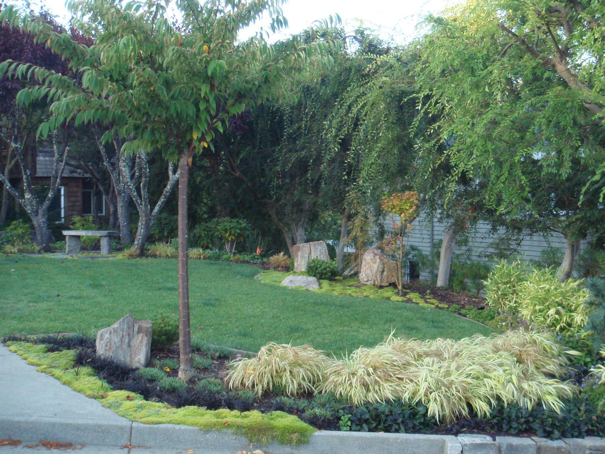Reed Ranch garden in Tiburon by Monarch Gardens, photo 20 of 32