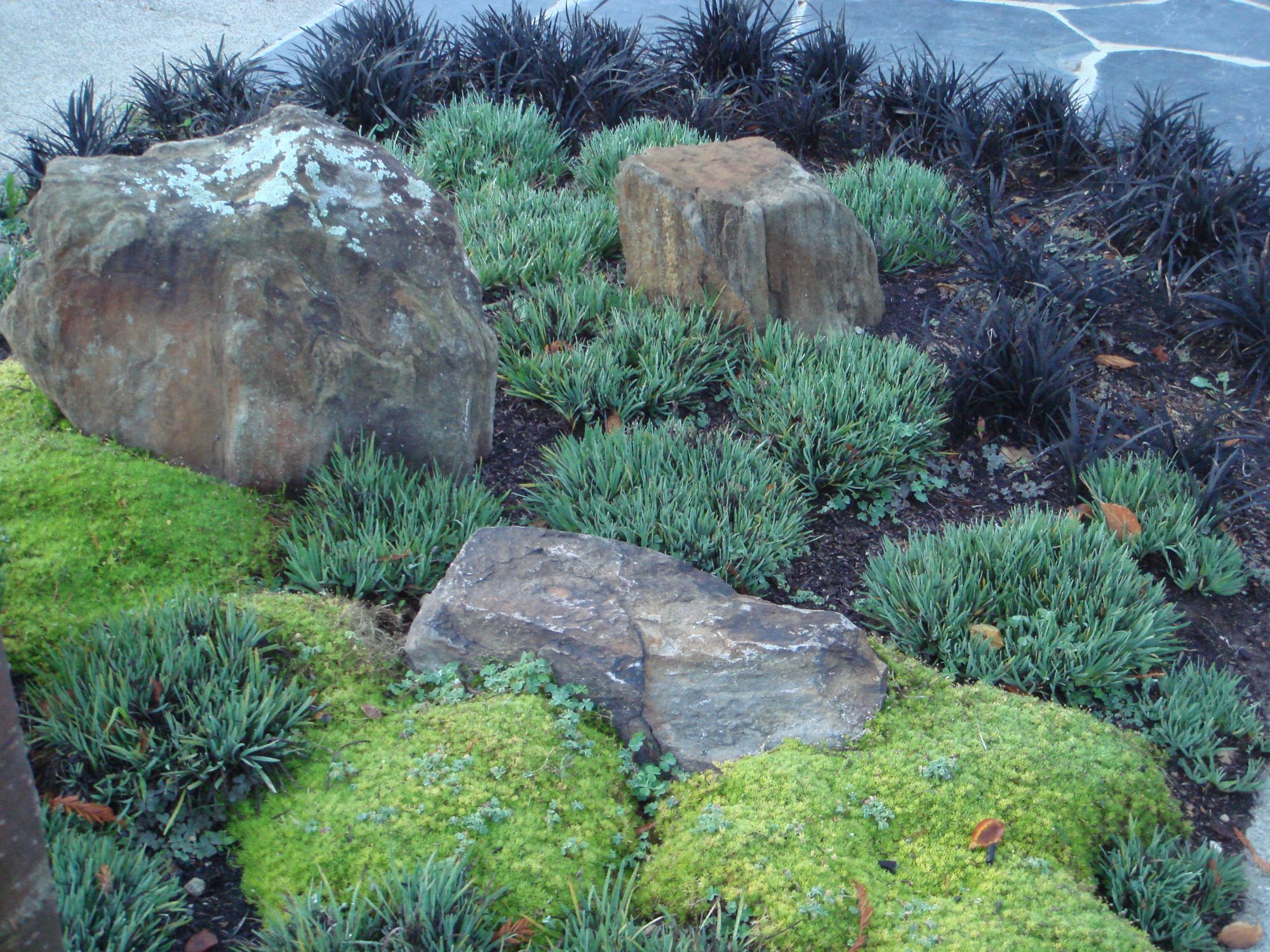 Reed Ranch garden in Tiburon by Monarch Gardens, photo 21 of 32