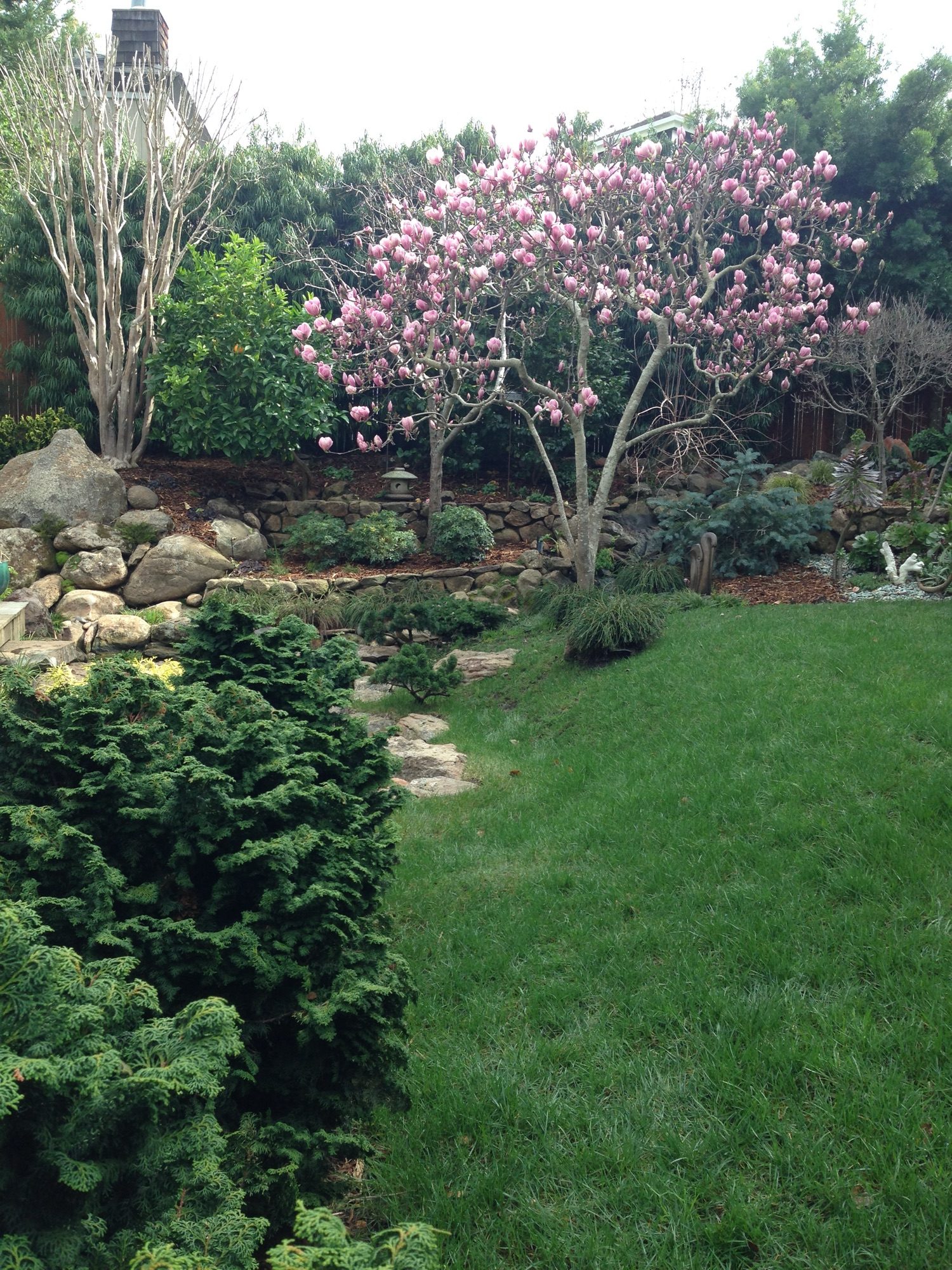 Reed Ranch garden in Tiburon by Monarch Gardens, photo 22 of 32