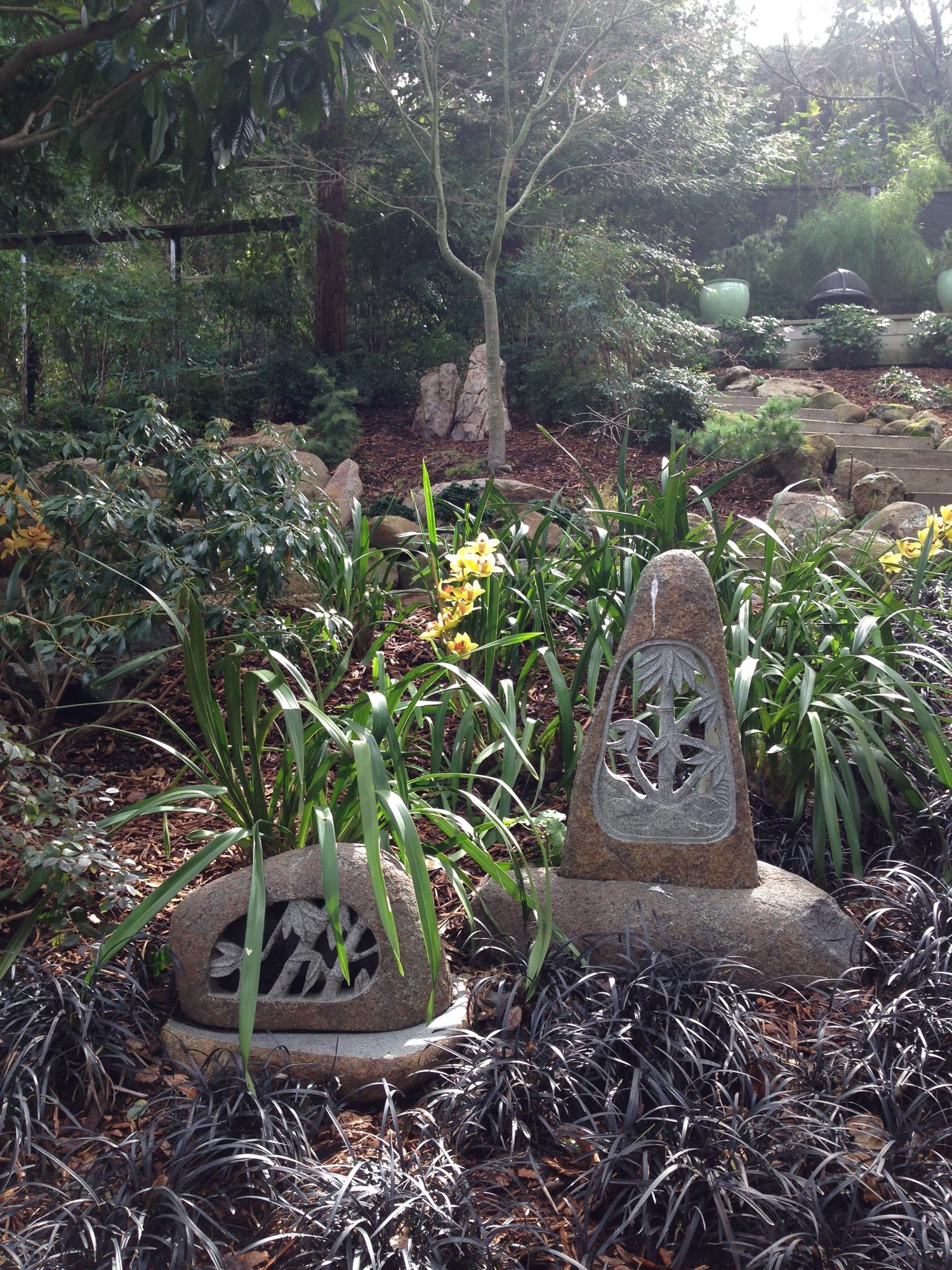Reed Ranch garden in Tiburon by Monarch Gardens, photo 24 of 32