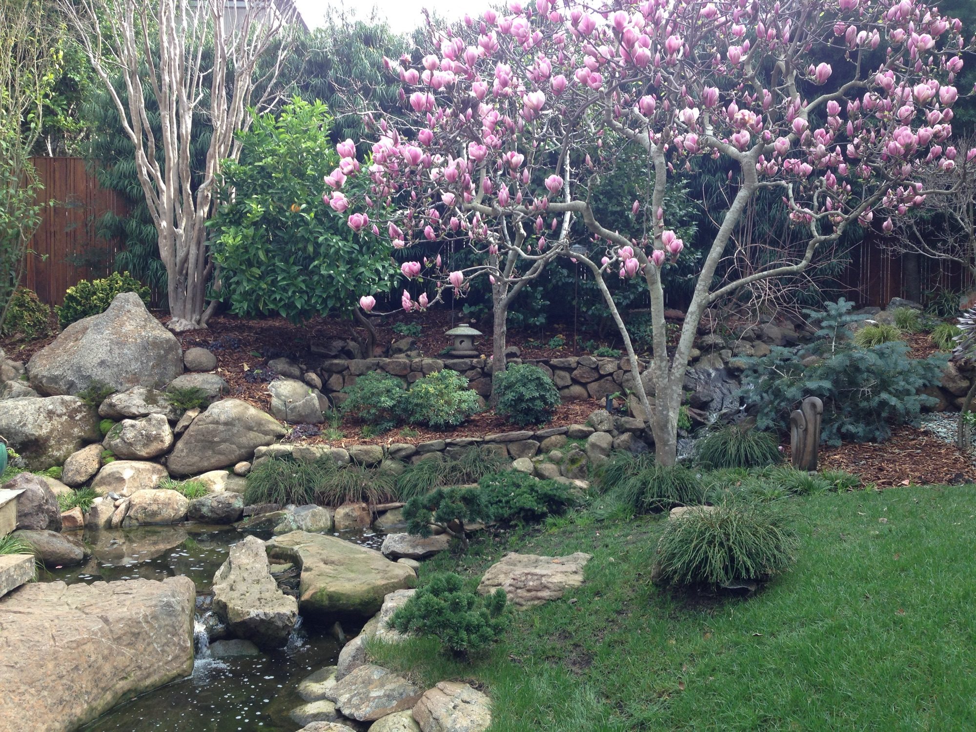 Reed Ranch garden in Tiburon by Monarch Gardens, photo 25 of 32
