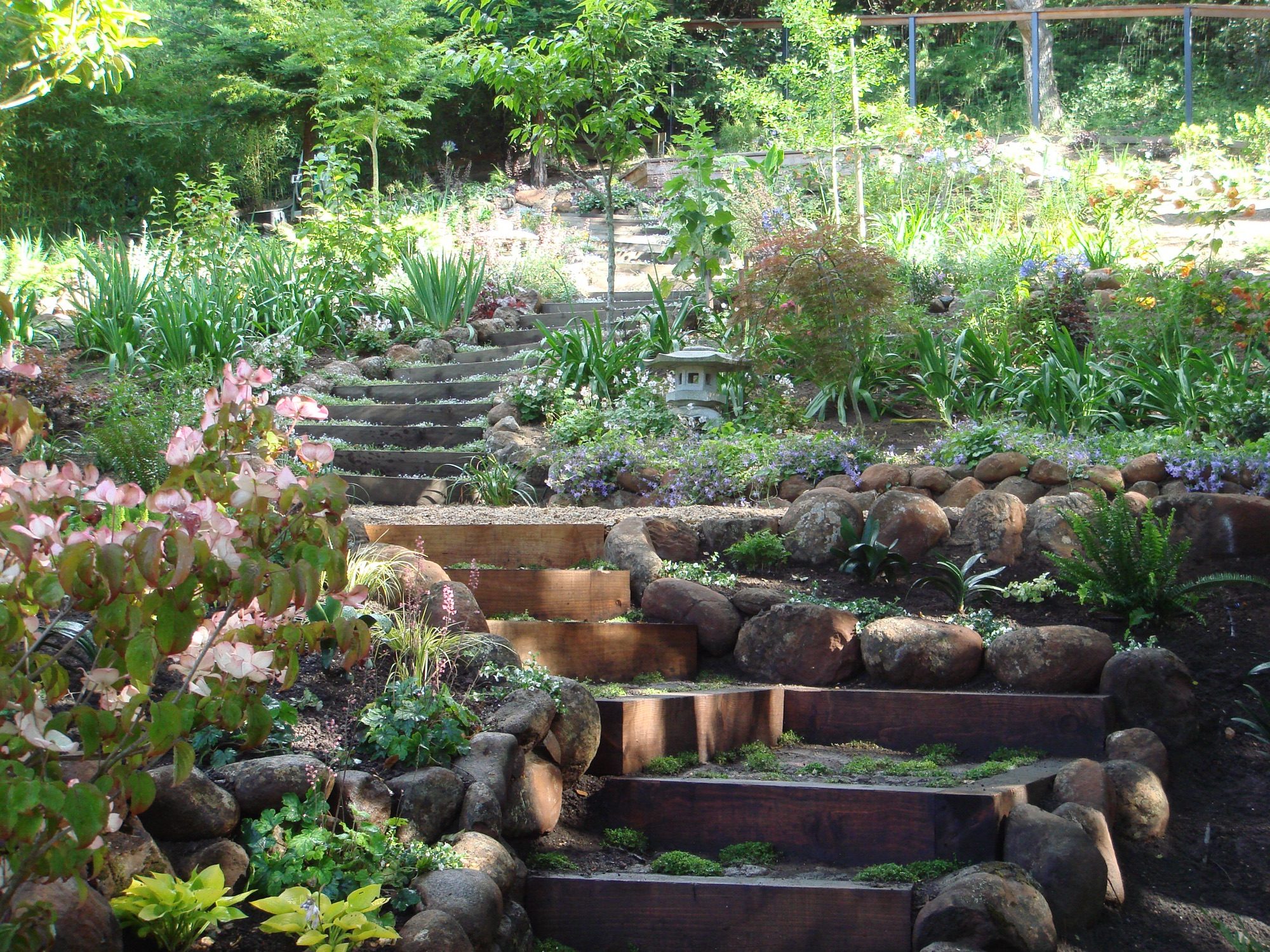 Reed Ranch garden in Tiburon by Monarch Gardens, photo 26 of 32