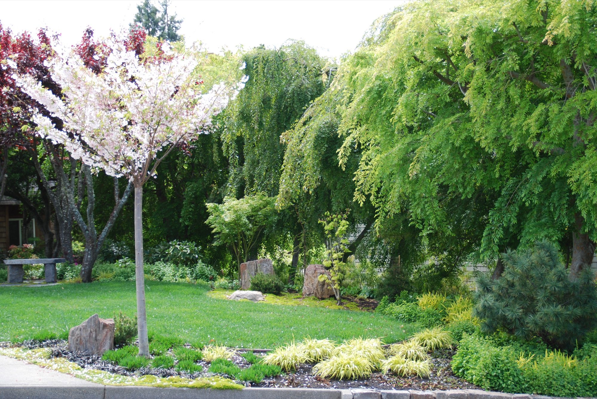 Reed Ranch garden in Tiburon by Monarch Gardens, photo 30 of 32