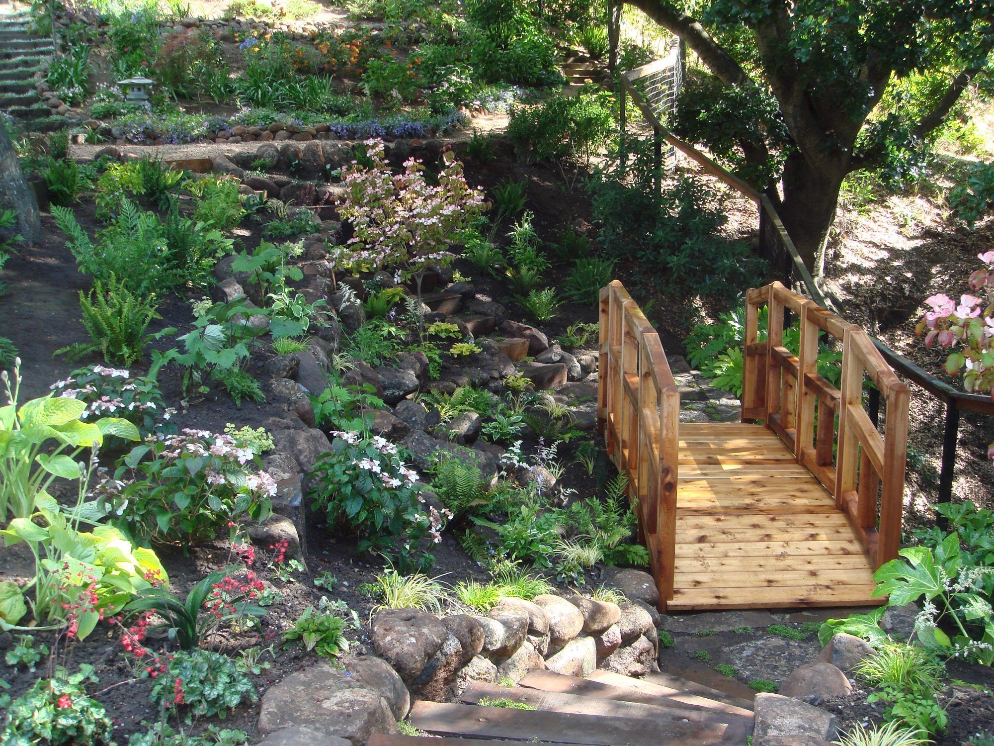 Reed Ranch garden in Tiburon by Monarch Gardens, photo 32 of 32
