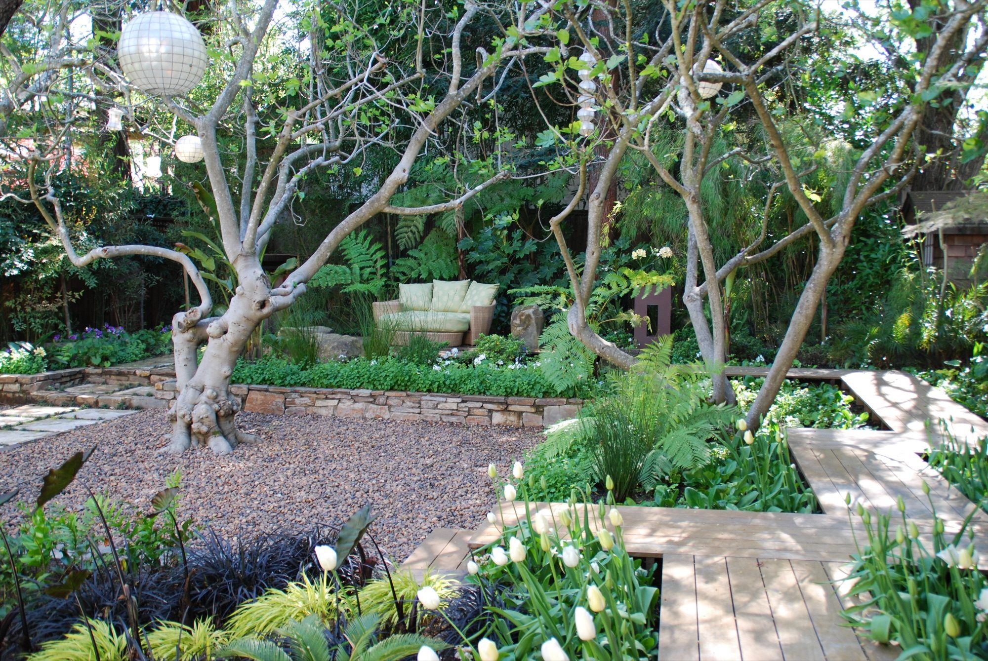 Sycamore garden in Mill Valley, Marin by Monarch Gardens, photo 4 of 11