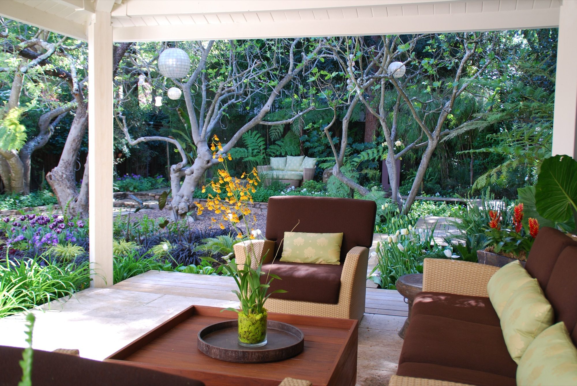Sycamore garden in Mill Valley, Marin by Monarch Gardens, photo 7 of 11