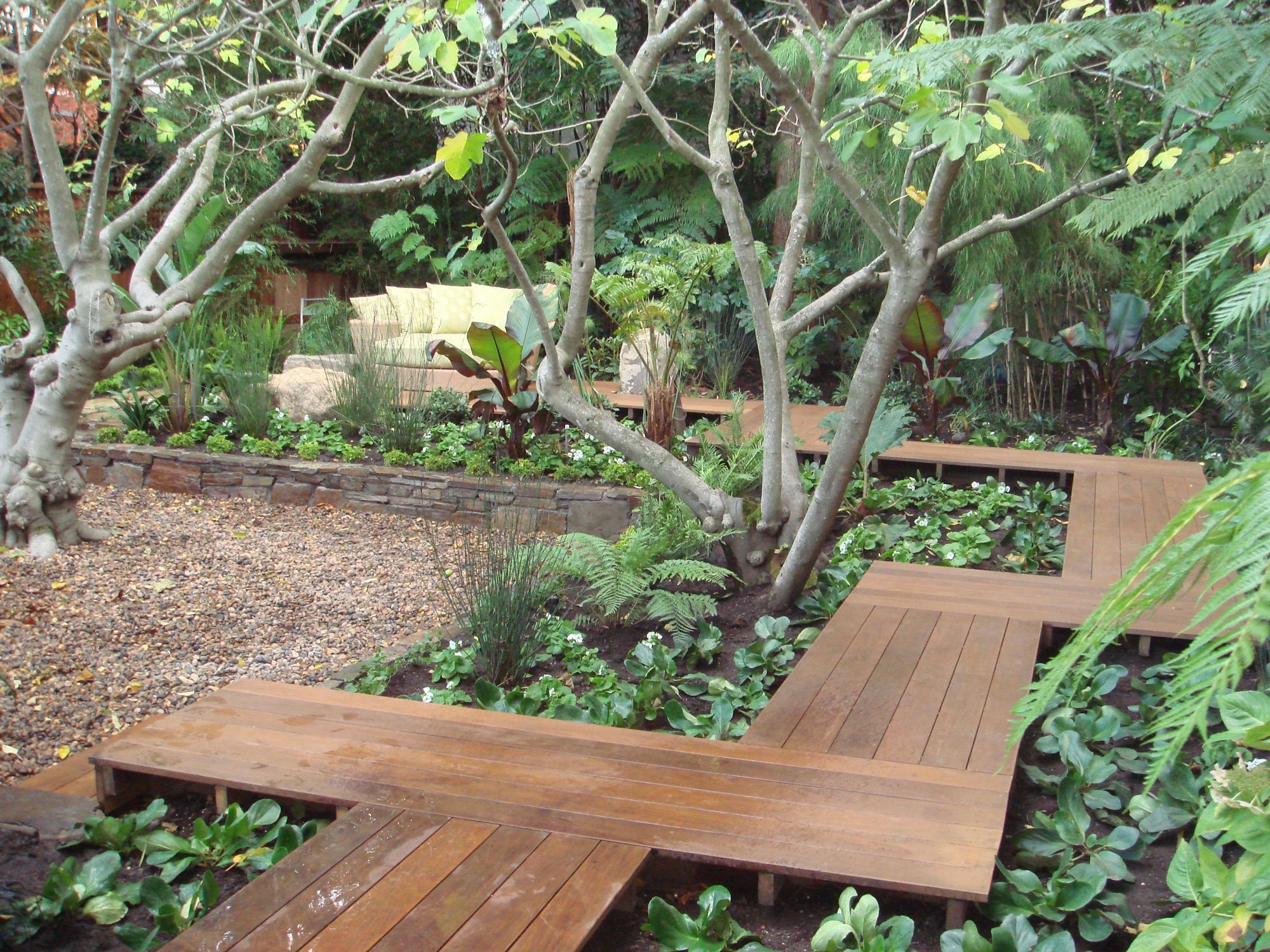 Sycamore garden in Mill Valley, Marin by Monarch Gardens, photo 9 of 11