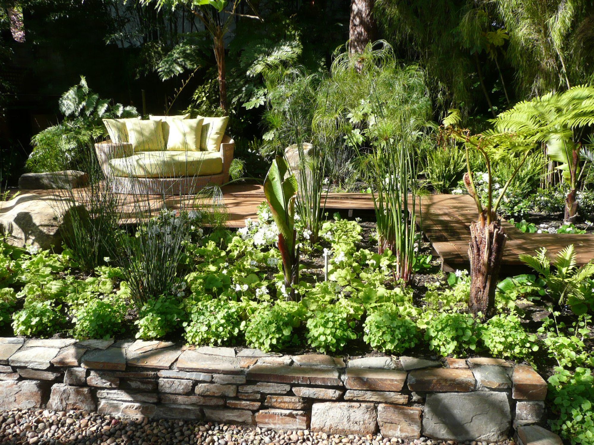 Sycamore garden in Mill Valley, Marin by Monarch Gardens, photo 10 of 11